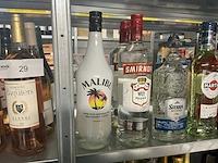 Diverse sterke drank (44x) - afbeelding 4 van  14