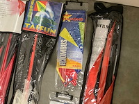 Diverse vliegers - afbeelding 6 van  7