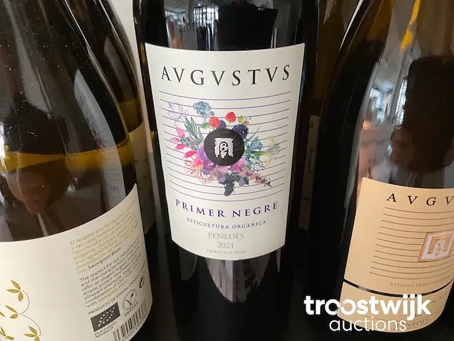 Diverse wijnen - afbeelding 16 van  32