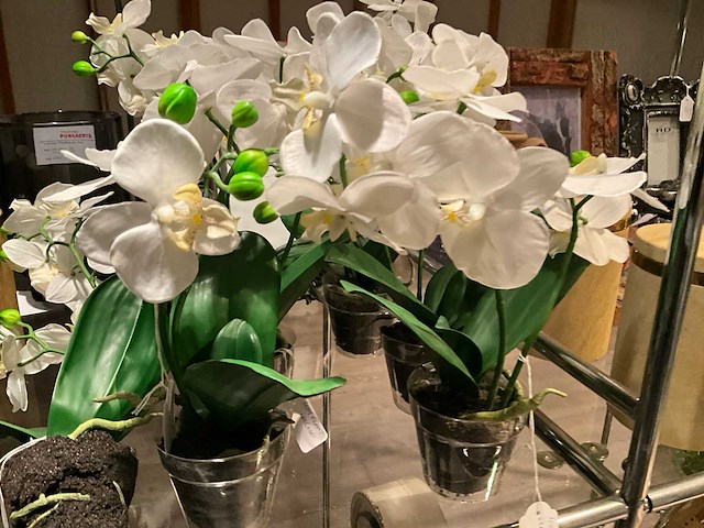 Diverse woondecoratie (19x) - afbeelding 3 van  9