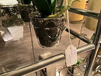 Diverse woondecoratie (19x) - afbeelding 4 van  9