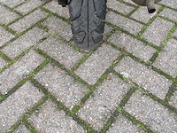 Djjd - snorscooter - cashmere efi injectie - scooter - afbeelding 11 van  11