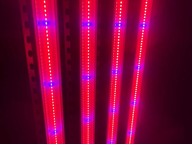 Dli apex series belichtingsmateriaal 1050watt (100x) - afbeelding 21 van  23