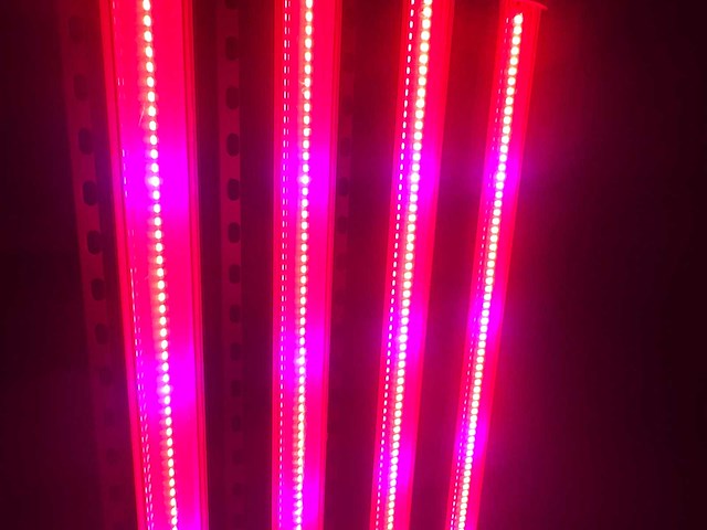 Dli apex series belichtingsmateriaal 1050watt (100x) - afbeelding 8 van  23