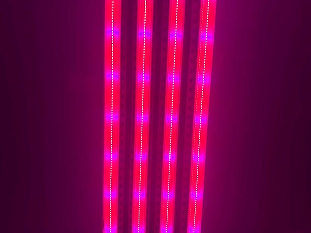 Dli apex series belichtingsmateriaal 1050watt (100x) - afbeelding 9 van  23