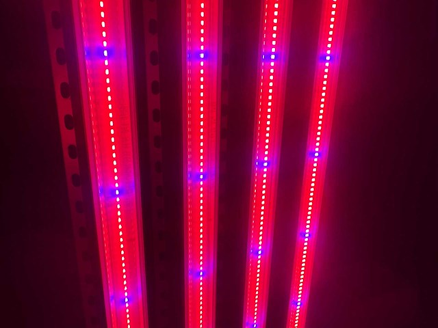 Dli apex series belichtingsmateriaal 1050watt (100x) - afbeelding 14 van  23