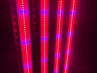 Dli apex series belichtingsmateriaal 1050watt (10x) - afbeelding 10 van  23