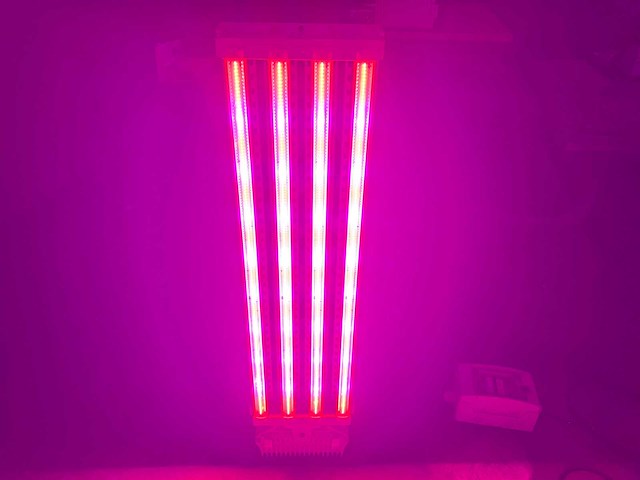 Dli apex series belichtingsmateriaal 1050watt (10x) - afbeelding 13 van  23