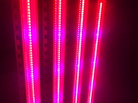 Dli apex series belichtingsmateriaal 1050watt (10x) - afbeelding 16 van  23