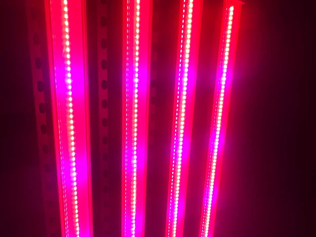 Dli apex series belichtingsmateriaal 1050watt (250x) - afbeelding 16 van  23