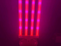 Dli apex series belichtingsmateriaal 1050watt (250x) - afbeelding 18 van  23