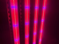 Dli apex series belichtingsmateriaal 1050watt (250x) - afbeelding 21 van  23