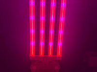 Dli apex series belichtingsmateriaal 1050watt (250x) - afbeelding 10 van  23