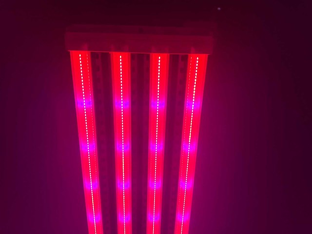 Dli apex series belichtingsmateriaal 1050watt (250x) - afbeelding 13 van  23