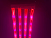 Dli apex series belichtingsmateriaal 1050watt (250x) - afbeelding 13 van  23