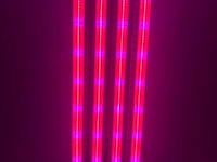 Dli apex series belichtingsmateriaal 1050watt (50x) - afbeelding 9 van  23