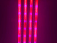 Dli apex series belichtingsmateriaal 1050watt (50x) - afbeelding 11 van  23