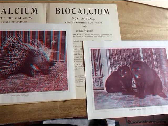 Document zoologiques 3d - afbeelding 2 van  5