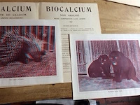 Document zoologiques 3d - afbeelding 2 van  5