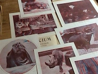 Document zoologiques 3d - afbeelding 4 van  5