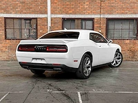 Dodge challenger sxt plus 3.6 v6 305pk 2015 - afbeelding 4 van  43