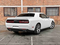 Dodge challenger sxt plus 3.6 v6 305pk 2016 - afbeelding 4 van  42