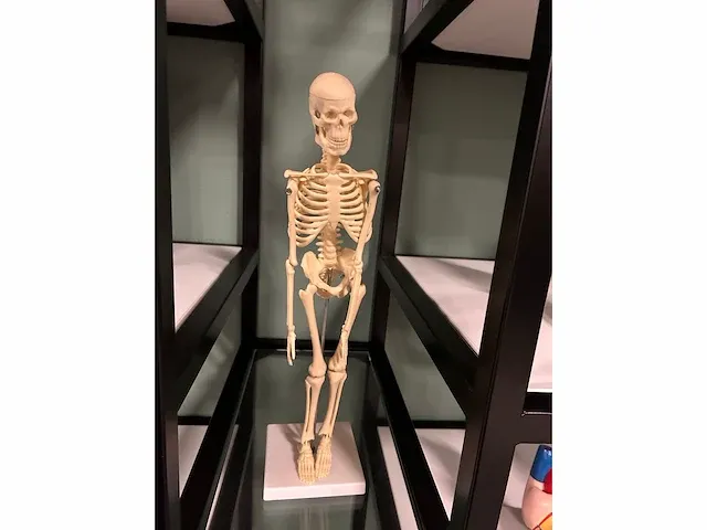 Dokter's praktijk - studio - decor opstelling - afbeelding 7 van  11
