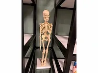 Dokter's praktijk - studio - decor opstelling - afbeelding 7 van  11