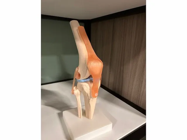 Dokter's praktijk - studio - decor opstelling - afbeelding 8 van  11