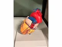 Dokter's praktijk - studio - decor opstelling - afbeelding 9 van  11