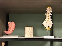 Dokter's praktijk - studio - decor opstelling - afbeelding 10 van  11