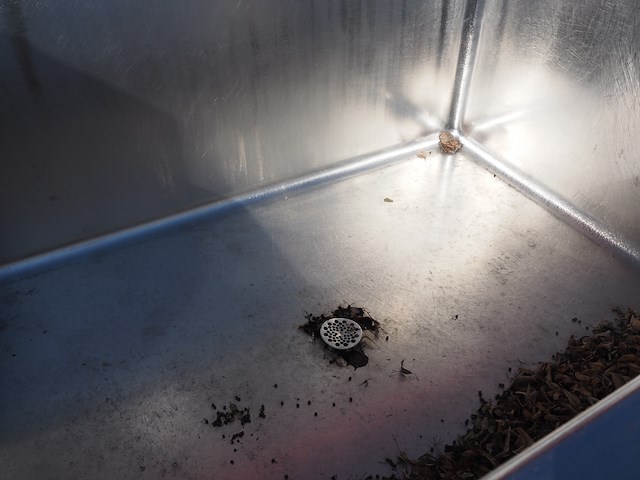 Doleschal - afbeelding 2 van  10