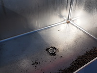 Doleschal - afbeelding 2 van  10