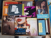 Doos met boeken uit inboedel van alles wat aantal 42 stuks. - afbeelding 1 van  3