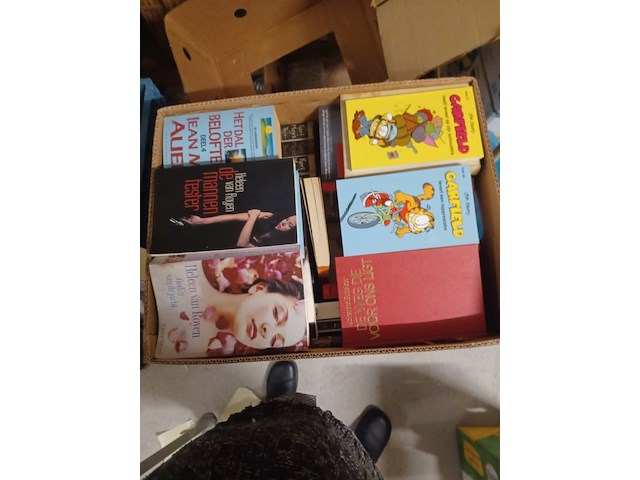 Doos met boeken uit inboedel van alles wat aantal 53 stuks. - afbeelding 4 van  7