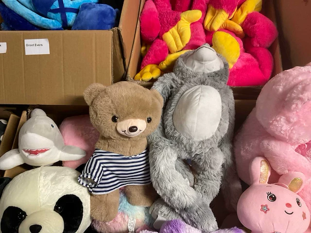 Doos met knuffels - afbeelding 7 van  11
