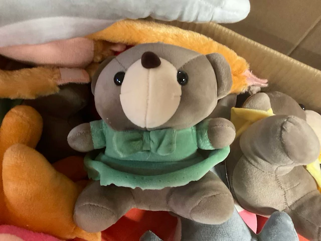 Doos met knuffels - afbeelding 8 van  12