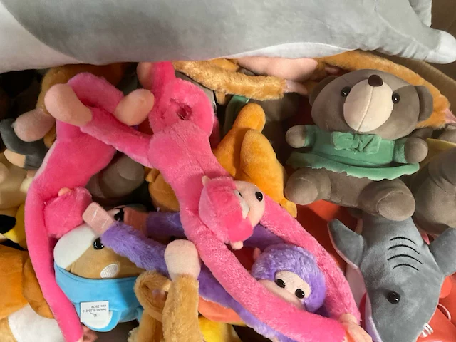 Doos met knuffels - afbeelding 9 van  12