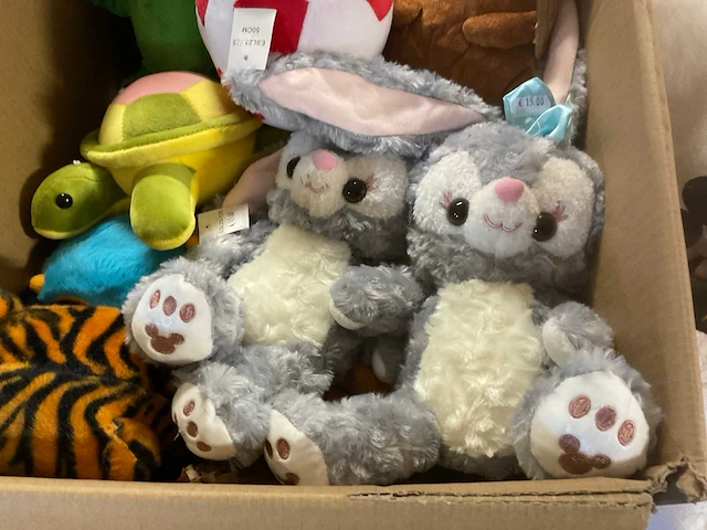 Doos met knuffels - afbeelding 7 van  12