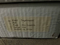 Doos stenen sierplinten (15x) - afbeelding 5 van  6