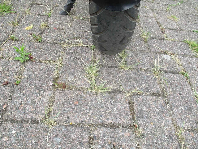 Doppio duo sit - fatbike - stadsfiets - afbeelding 4 van  15
