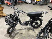 Doppio elektrische fiets (3x) - afbeelding 4 van  14