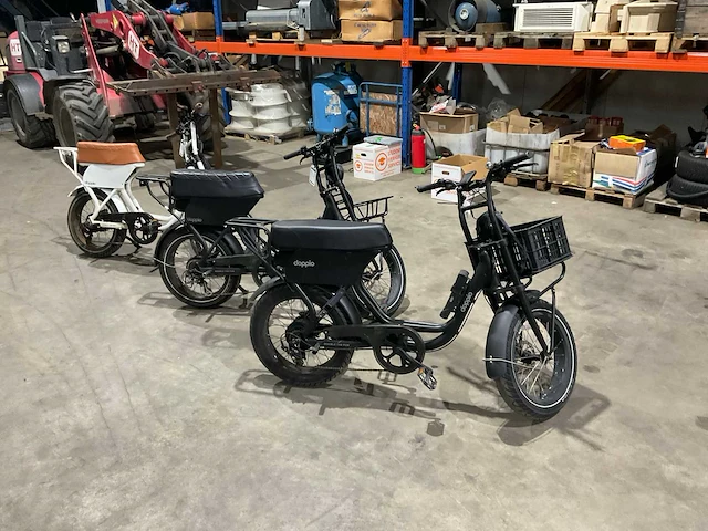 Doppio elektrische fiets (3x) - afbeelding 1 van  14