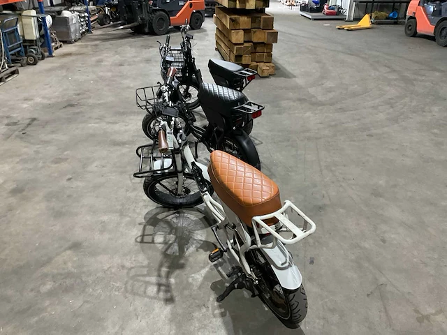 Doppio elektrische fiets (3x) - afbeelding 13 van  14