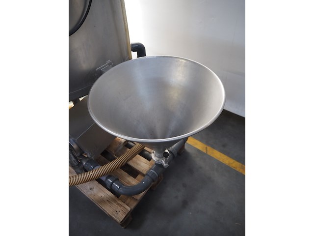 Dorit - afbeelding 6 van  8