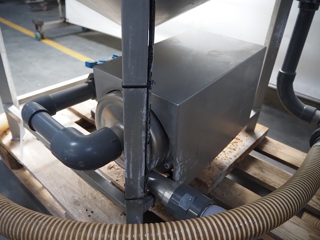 Dorit - afbeelding 7 van  8