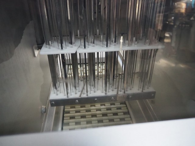 Dorit - afbeelding 7 van  10