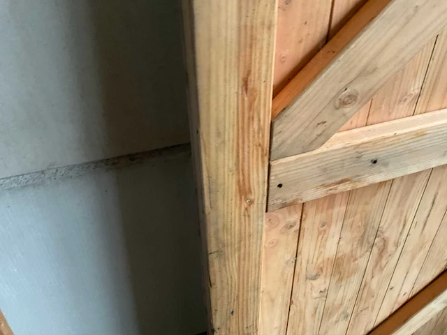 Douglas buitendeur 215x120 cm - afbeelding 3 van  3