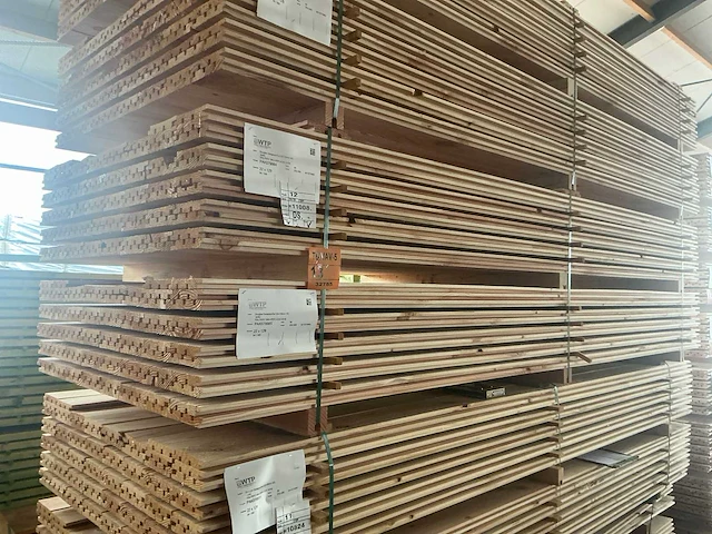 Douglas design- triple- deens profiel, 3000x142x22mm (168x) - afbeelding 4 van  4