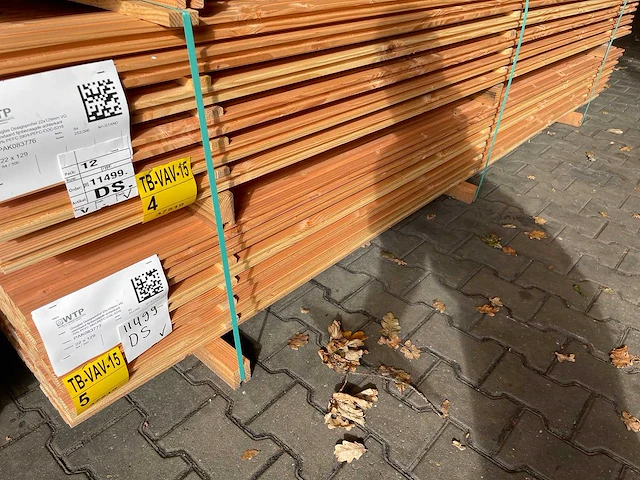 Douglas design- triple- deens profiel 3000x142x22mm (84x) - afbeelding 4 van  4